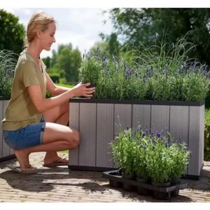 Rectangular Raised Bed