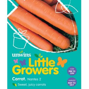 Carrot Seeds