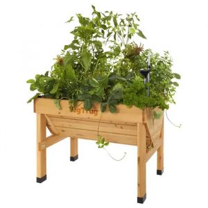 self watering kits