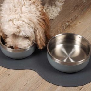 Buy dog bowl best sale