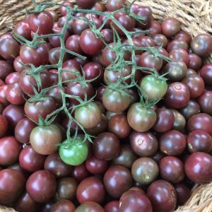 Cherry Tomato Seeds