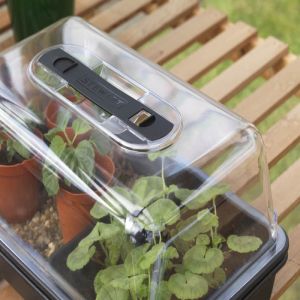 Electric Propagator