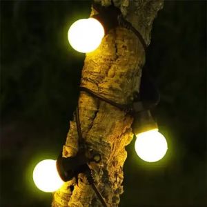 Garden Light