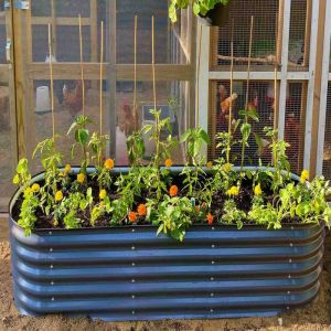 Modular Raised Bed