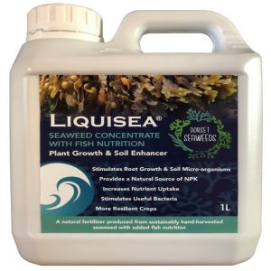 Seaweed Liquid Concentrate