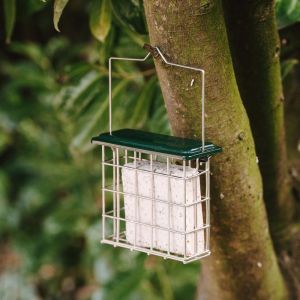 Peckish Suet Cake Feeder