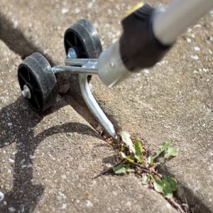 Weed Ball Roller