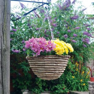 12" Hanging Basket (Two Tone)