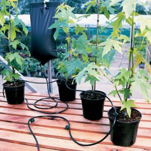 Watering System