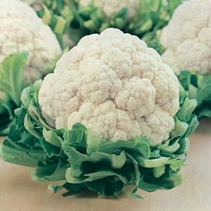 Cauliflower