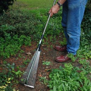 Lawn Rake