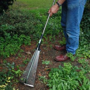 Lawn Rake