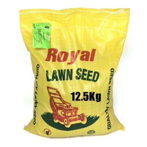 Lawn Seed