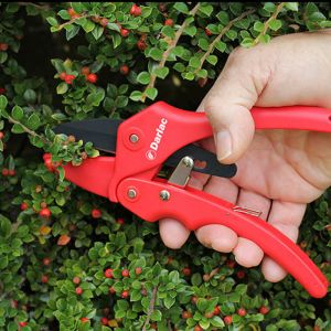 Secateurs (Ratchet Pruners)