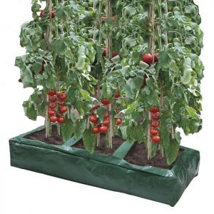 Tomato Grow Bag