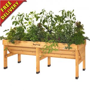 VegTrug