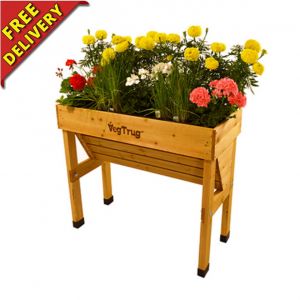 Raised Planters