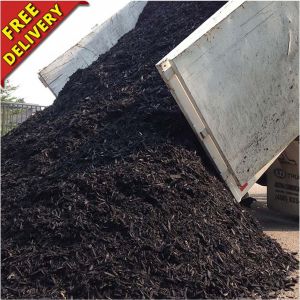 Bark Mulch Chips