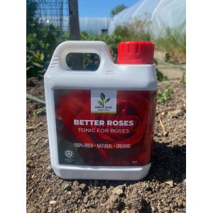Better Roses