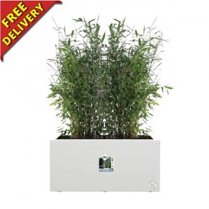 Long Garden Planter