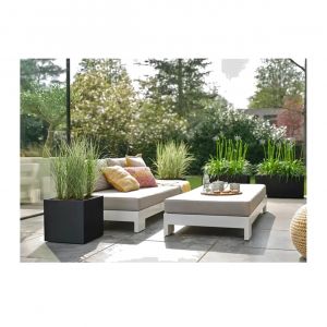 Black Planter