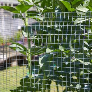 13mm Mesh Wire Panel (2ft x 3ft)