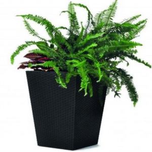 Rattan Planter (53.5 x 53.5cm)