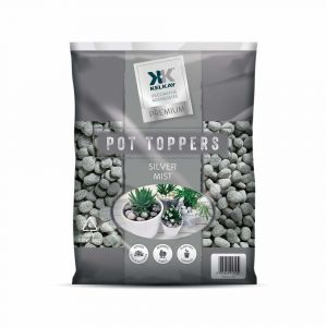 Bag of Silver Mist Pot Topper