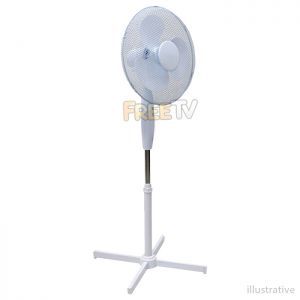 Electric Fan
