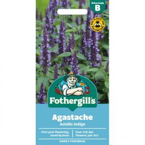 Agastache Seeds