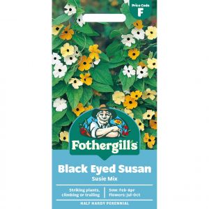 Black Eyed Susan Seeds