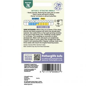 Butterfly Friendly Flower Seeds