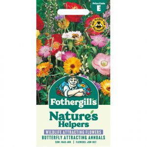 Butterfly Friendly Flower Seeds