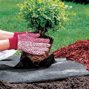 15 x 1 m Weed Control Fabric Lite