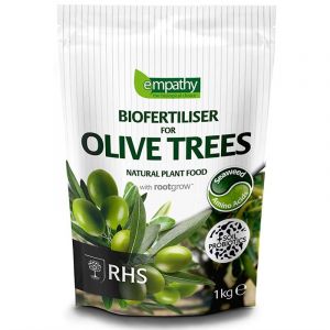 Olive Tree Feed