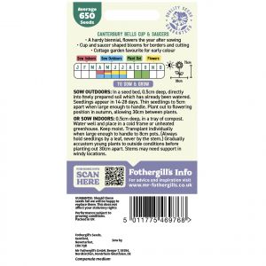 Canterbury Bells Seeds