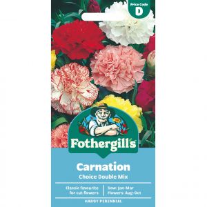 Carnation Mixed Seeds