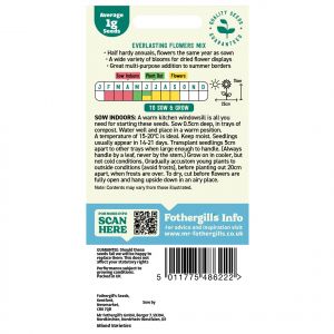 Everlasting Flower Seed