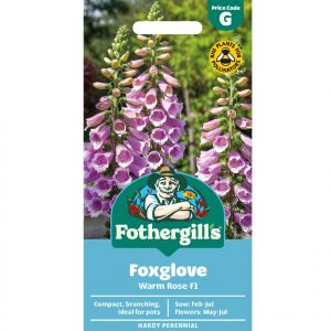 Foxglove Seeds