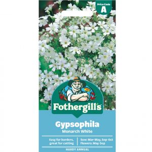 Gypsophila Seeds