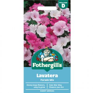 Lavatera Seeds