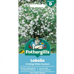 Lobelia Trailing Seeds