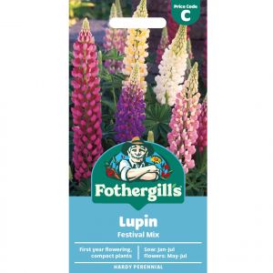 Lupin Seeds