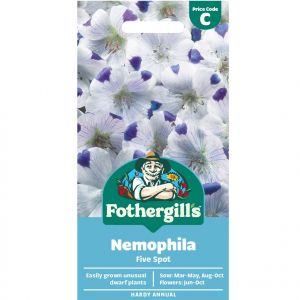 Nemophila Seeds
