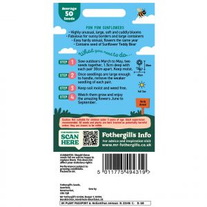 Pom Pom Sunflower Seeds