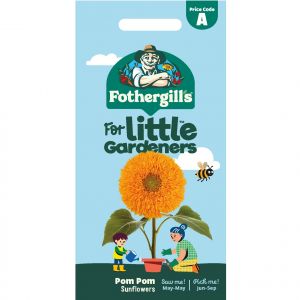 Pom Pom Sunflower Seeds