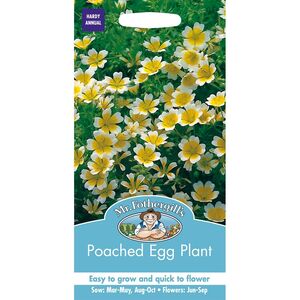 POACHED EGG PLANT Mr Fothergill's Seeds