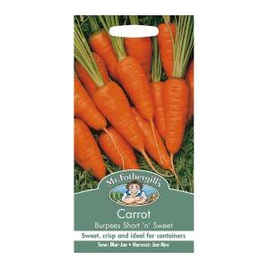 CARROT Burpees Short n Sweet Mr Fothergills Seeds