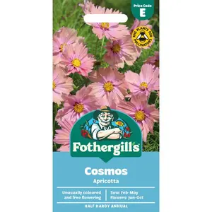 COSMOS Apricotta Mr Fothergills Seeds