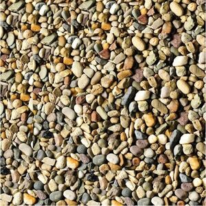 Beach Pebble